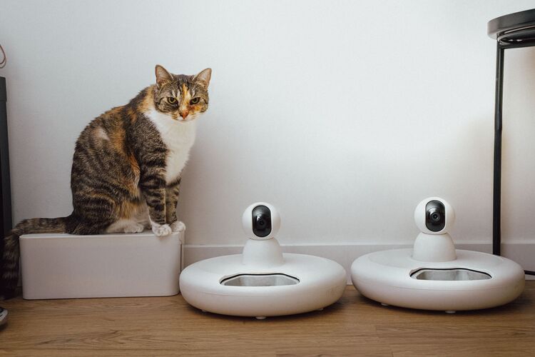 Pet care and hydration
